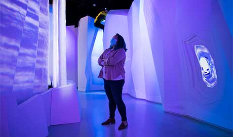 Gifts by Will or Trust