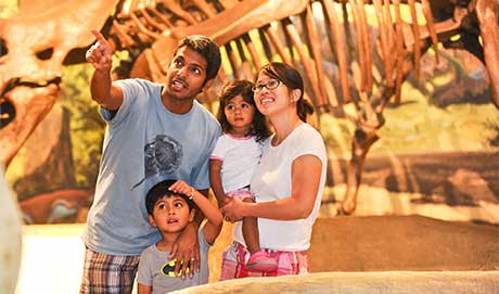 Charitable Lead Trust