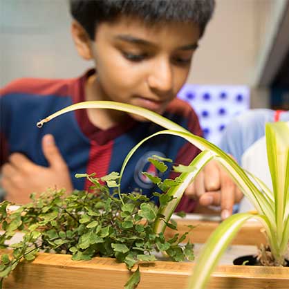 Gifts by Will or Trust